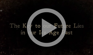 book-trailer